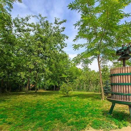 Fortuna Apartments Pacir Zewnętrze zdjęcie