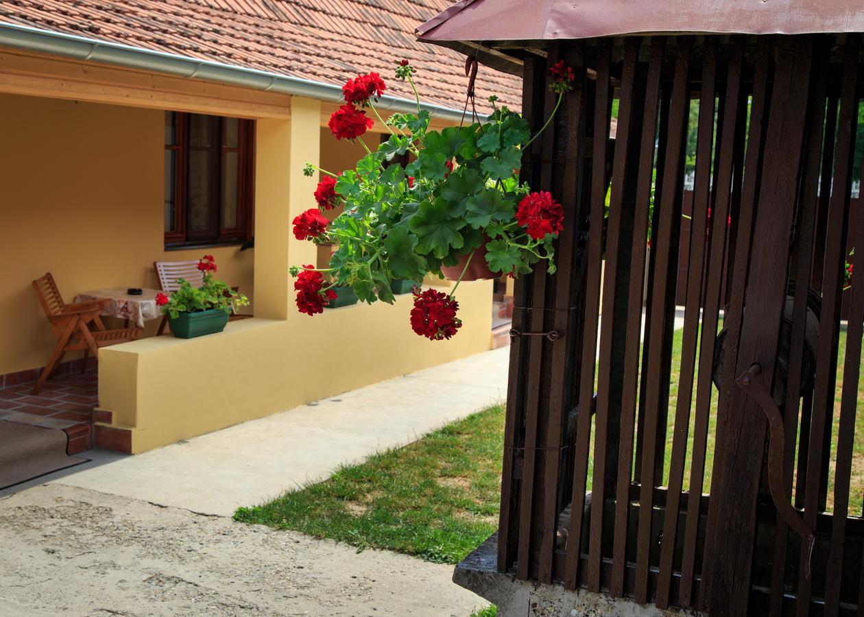 Fortuna Apartments Pacir Zewnętrze zdjęcie